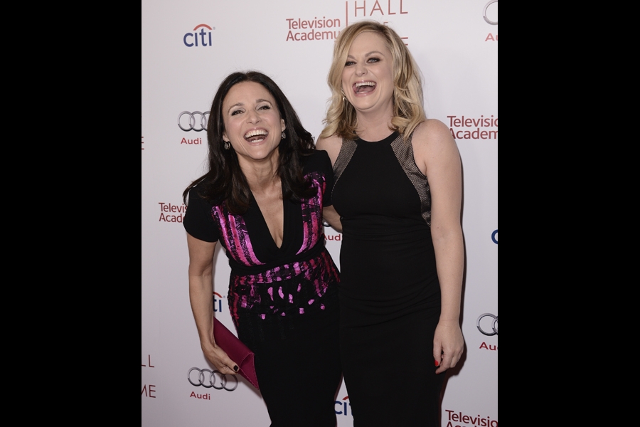 Amy Poehler Emmy Awards Nominations And Wins Television Academy