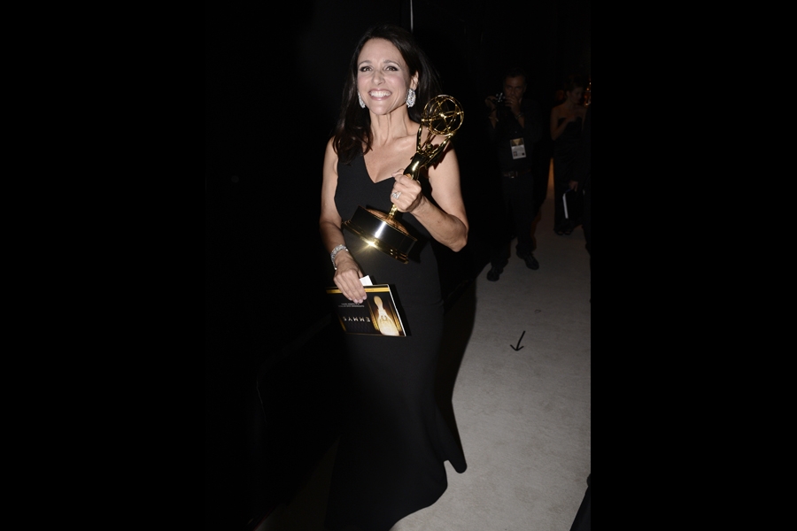 Julia louis sale dreyfus emmy dress